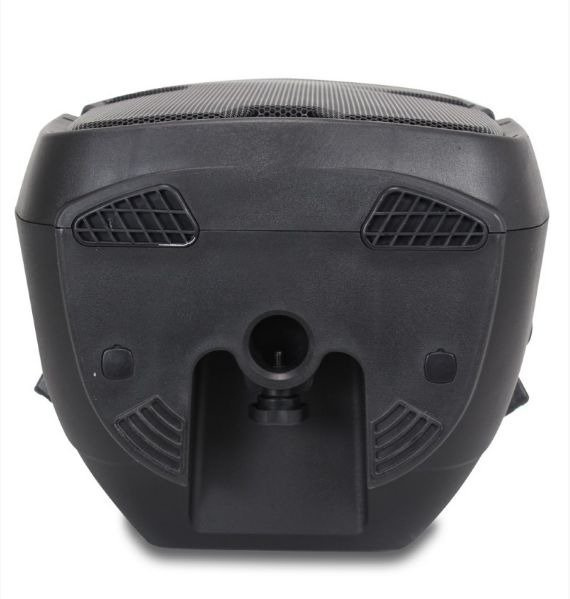 Kolumna aktywna Ekho RS12a 600W