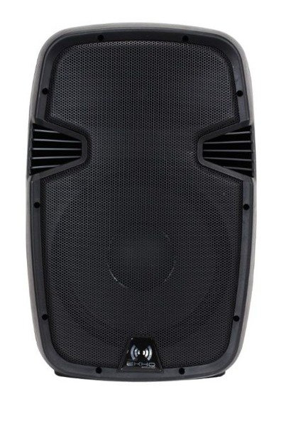 Kolumna aktywna Ekho RS12a 600W